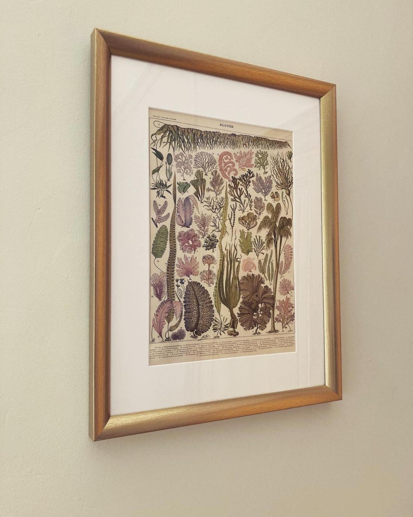 Maison D'Hotes La Doucelle Culture Et Bien-Etre Lignieres-Orgeres Pokoj fotografie